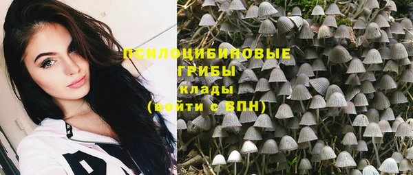 амф Абаза