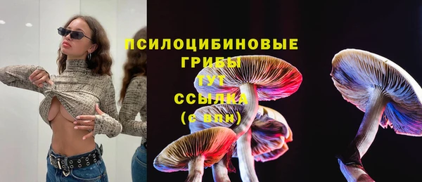 амф Абаза