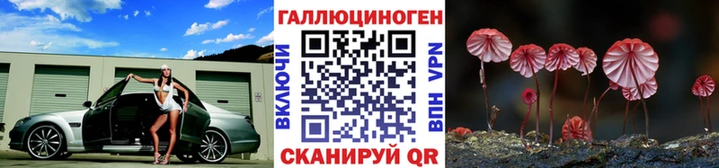 как найти закладки  Аксай  Псилоцибиновые грибы Psilocybe 